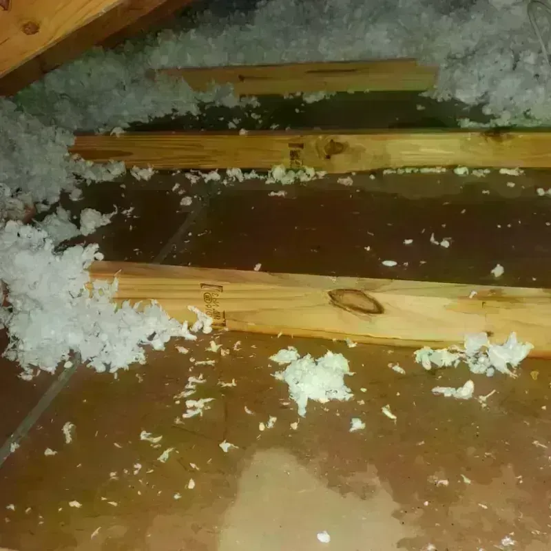 Attic Water Damage in Finley, ND