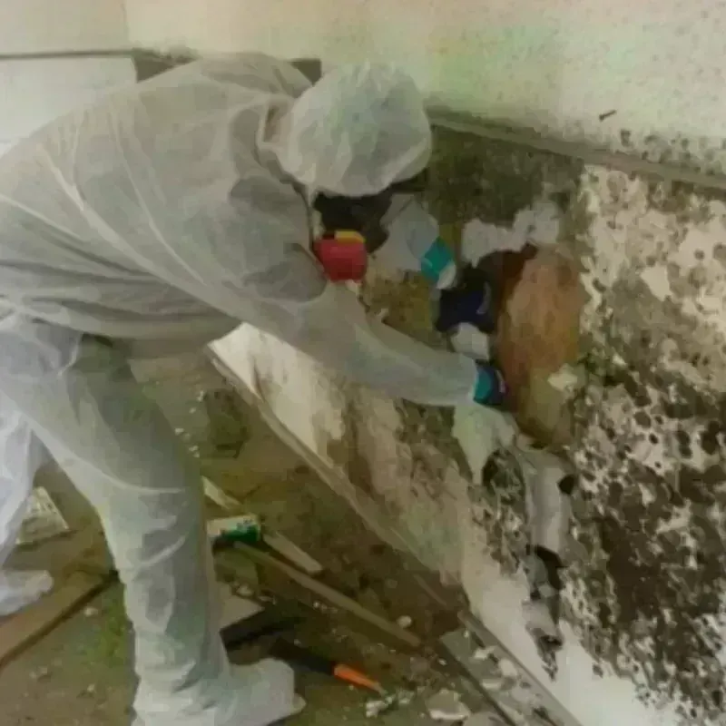 Mold Remediation and Removal in Finley, ND