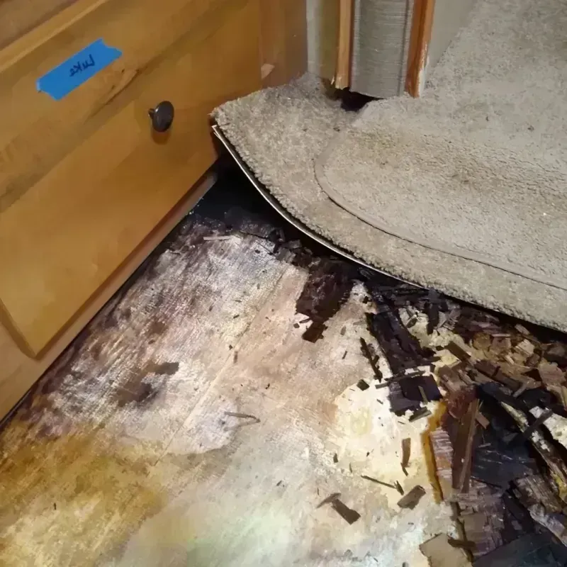 Wood Floor Water Damage in Finley, ND